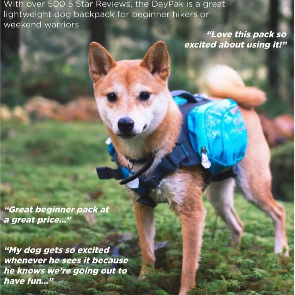 Final sale -New #2 Dog backpack ( 30-50Ibs )